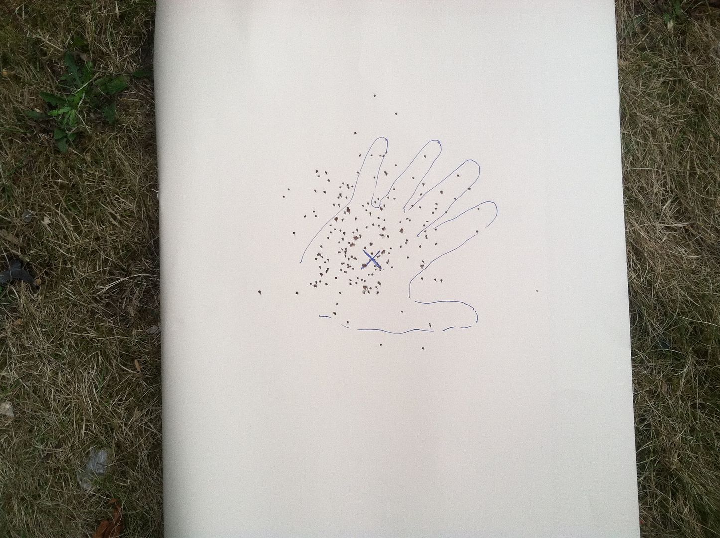 .38 Snake Shot Loads 24hourcampfire